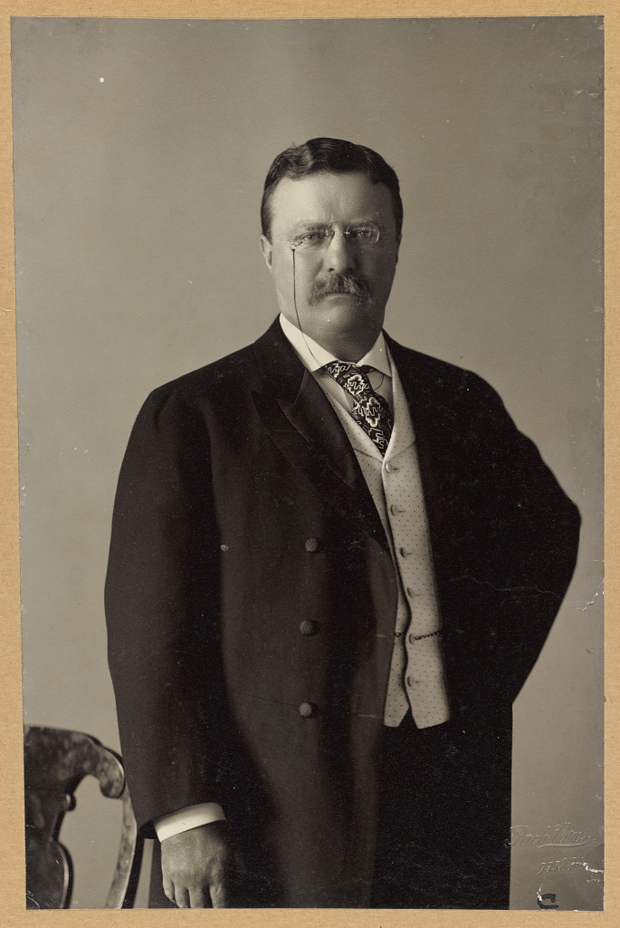 theodore roosevelt as a president